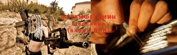 трава Корсаков