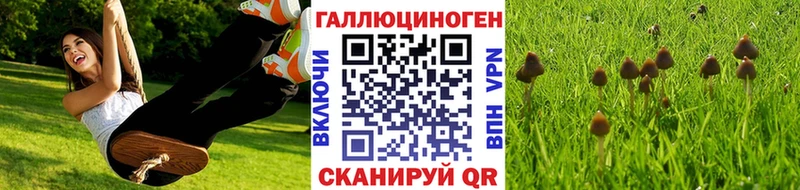 Псилоцибиновые грибы Psilocybine cubensis  Верхняя Салда 